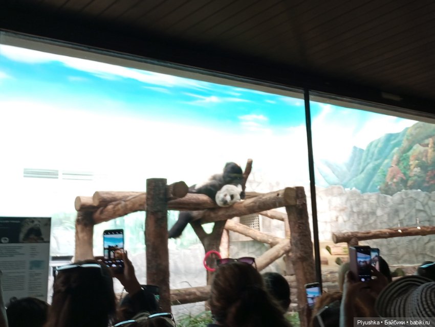 Ася в зоопарке — Российские куклы Весна (фото 7)