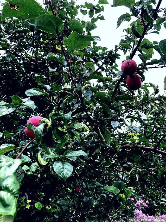 Долгожданное солнце — Одежда и обувь для кукол своими руками: фото