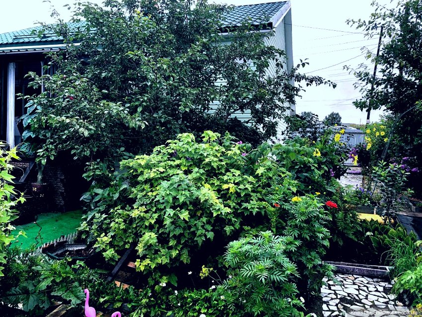 Долгожданное солнце — Одежда и обувь для кукол своими руками: фото