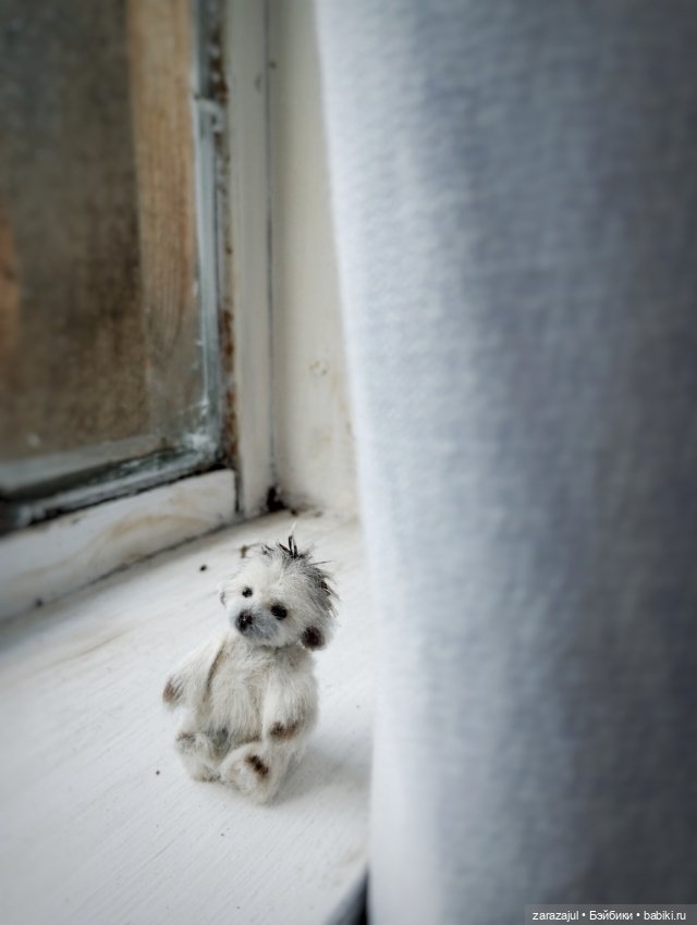 Фимка и очень маленький ежик (фото 7)