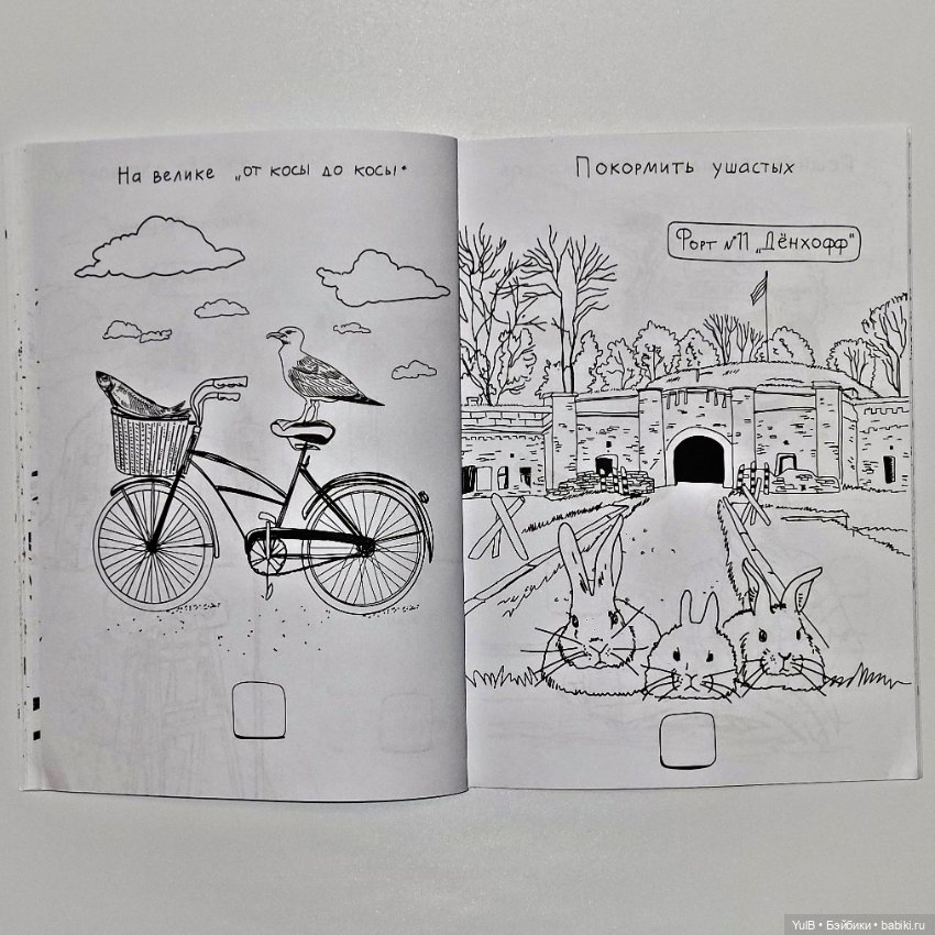 Блокнот приключений в Калининграде