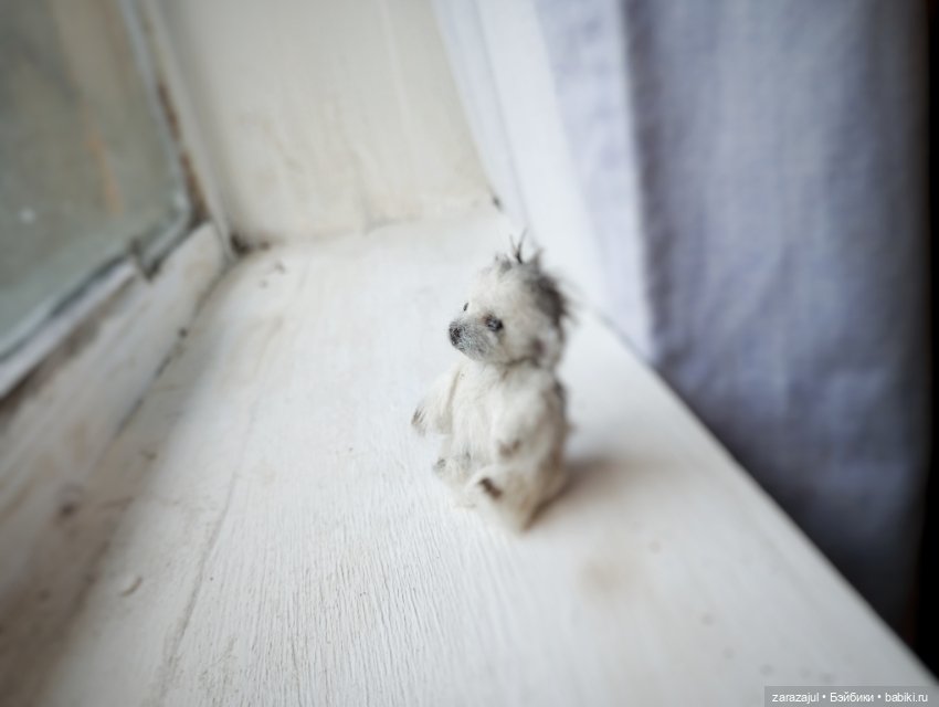 Фимка и очень маленький ежик (фото 8)