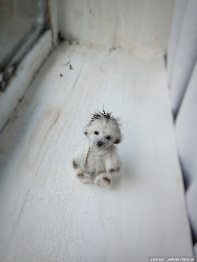 Фимка и очень маленький ежик (фото 6)