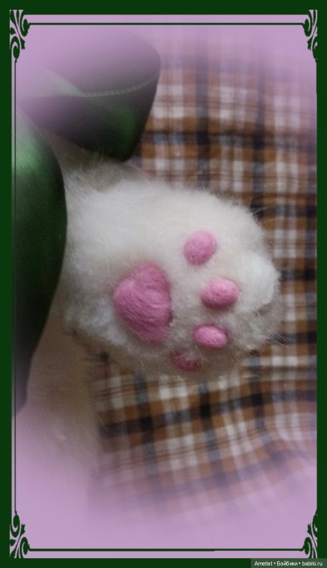 Кот Пельмеш, белый и пушистый (фото 9)