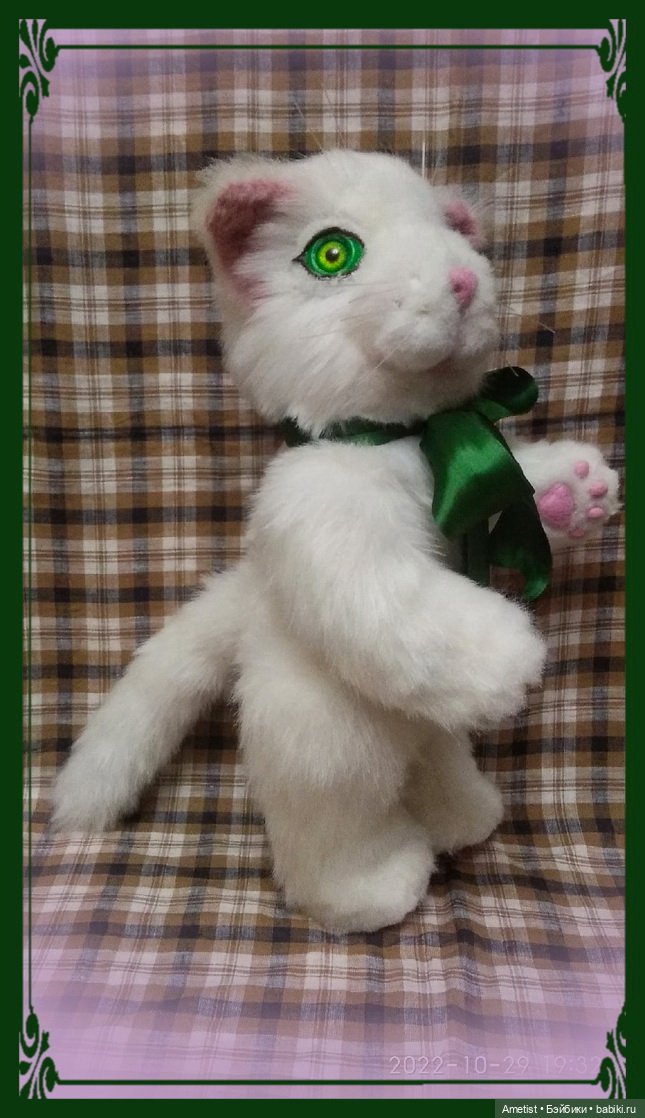 Кот Пельмеш, белый и пушистый (фото 8)