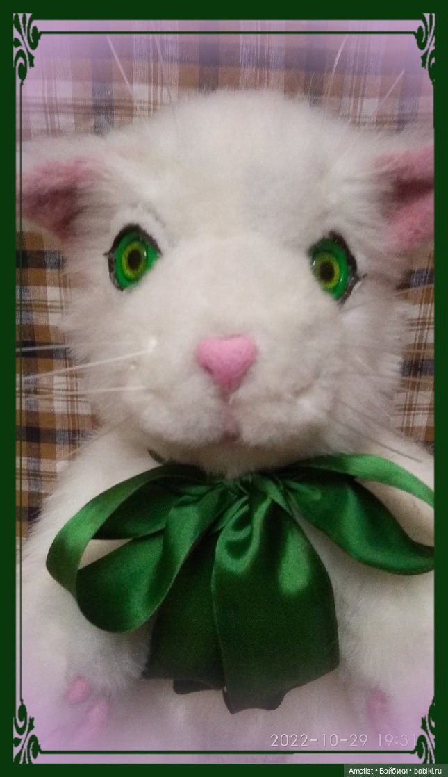 Кот Пельмеш, белый и пушистый