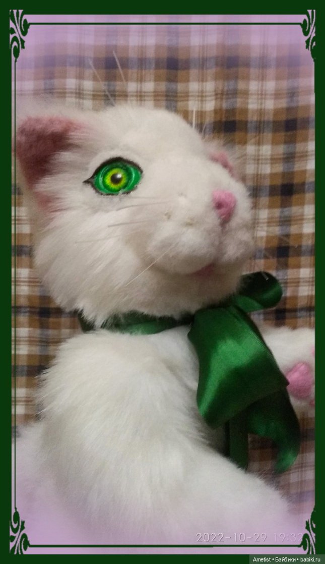 Кот Пельмеш, белый и пушистый (фото 4)