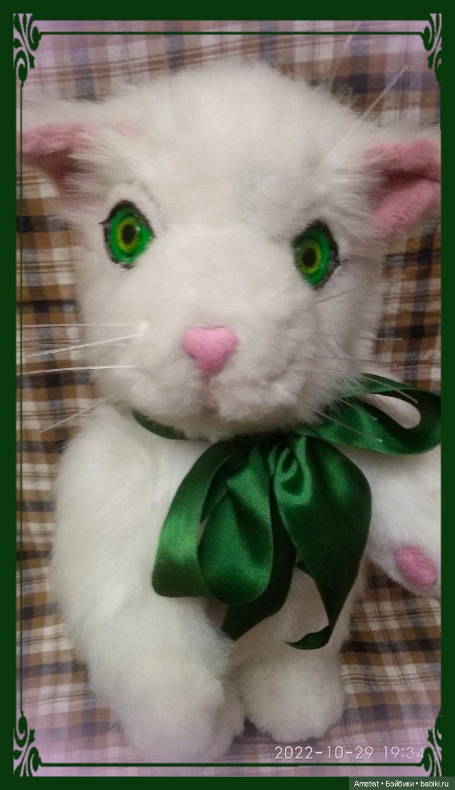 Кот Пельмеш, белый и пушистый (фото 2)
