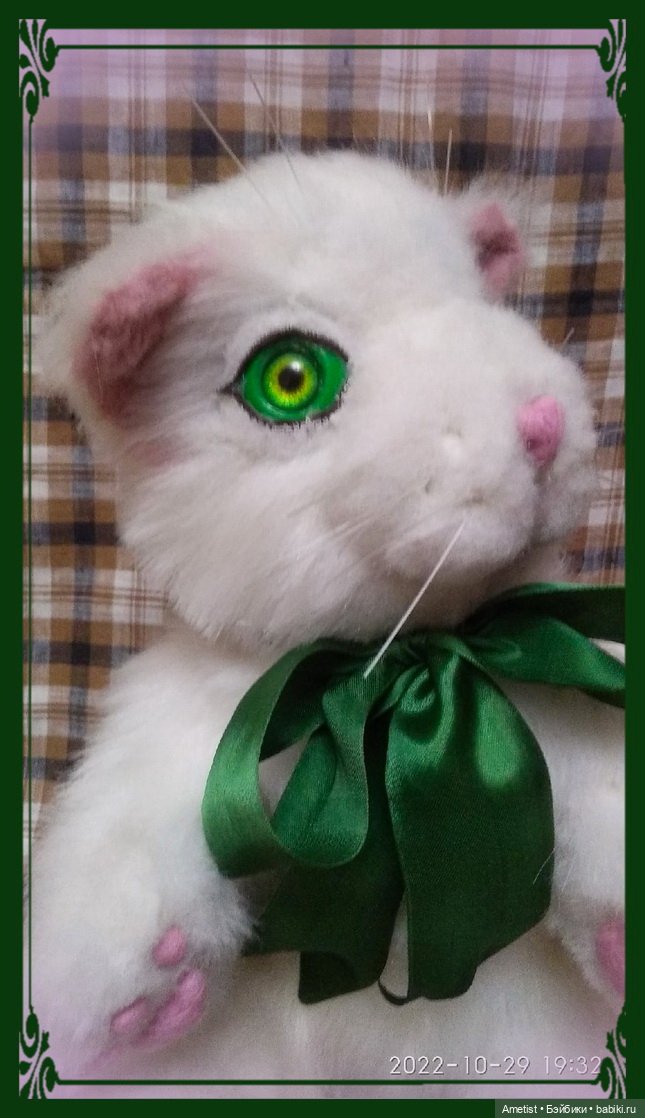 Кот Пельмеш, белый и пушистый (фото 3)
