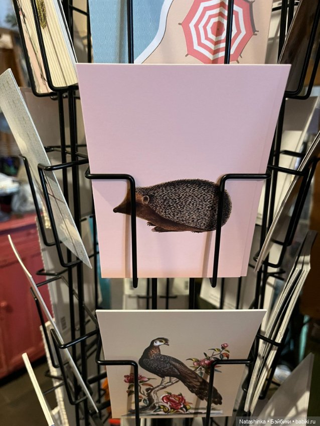 Музщыкальная История 142 — Туризм и путешествия: фотоотчеты из поездок