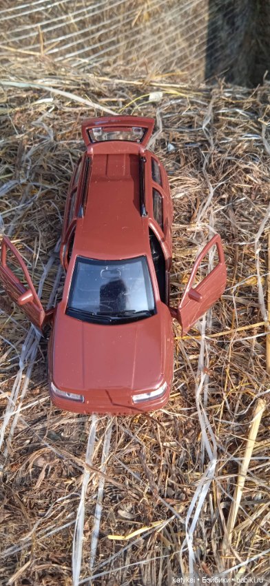 Приключения бордовой машинки (фото 6)