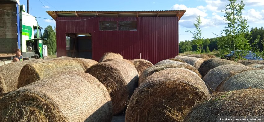 Приключения бордовой машинки