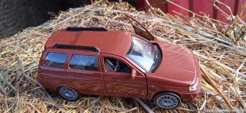 Приключения бордовой машинки (фото 5)