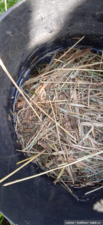 Приключения бордовой машинки