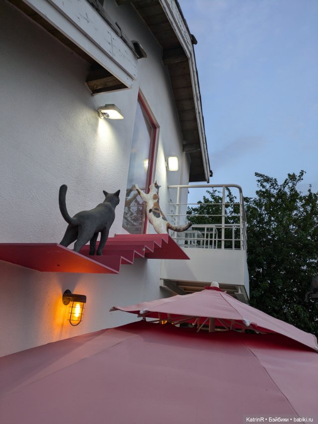 Бараш путешественник. Брошь