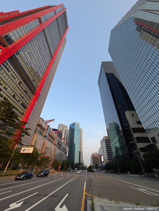 Бараш путешественник. Брошь