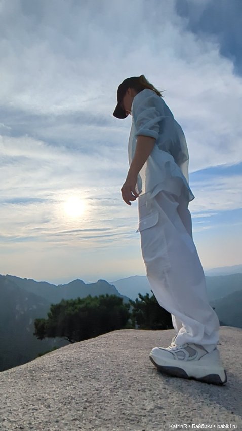 Бараш путешественник. Брошь