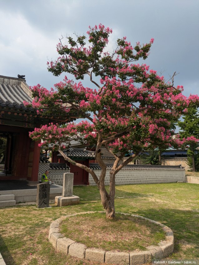 Бараш путешественник. Брошь (фото 10)
