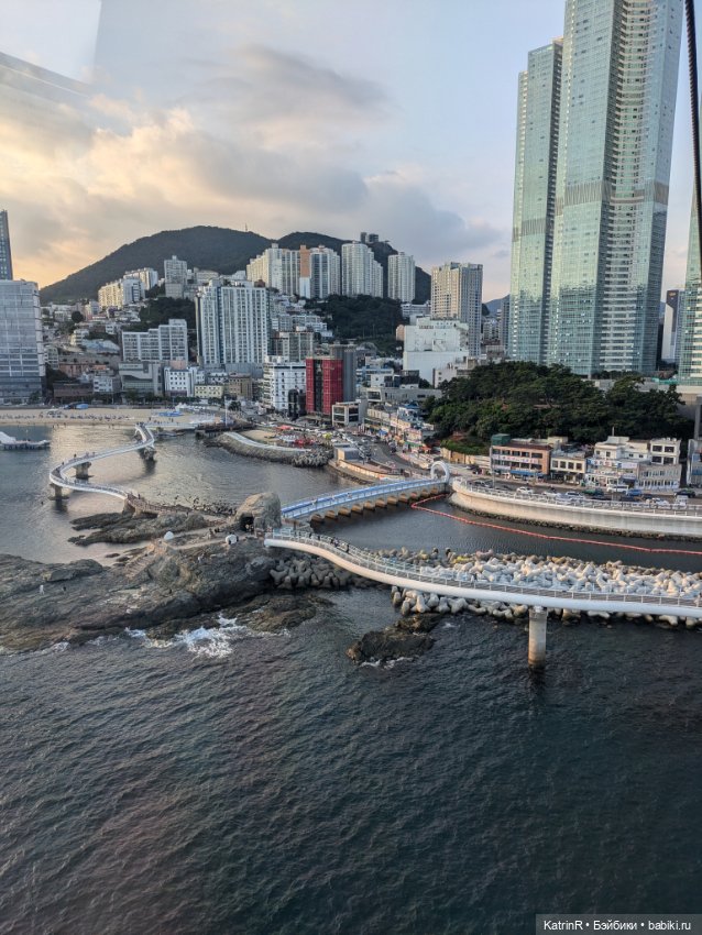 Бараш путешественник. Брошь