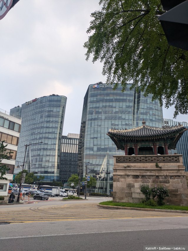 Бараш путешественник. Брошь