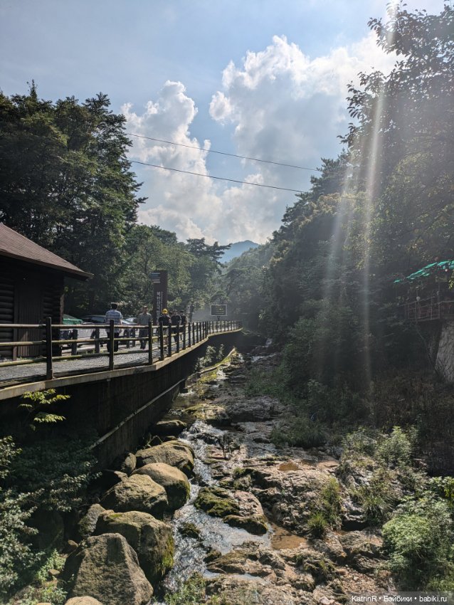 Бараш путешественник. Брошь