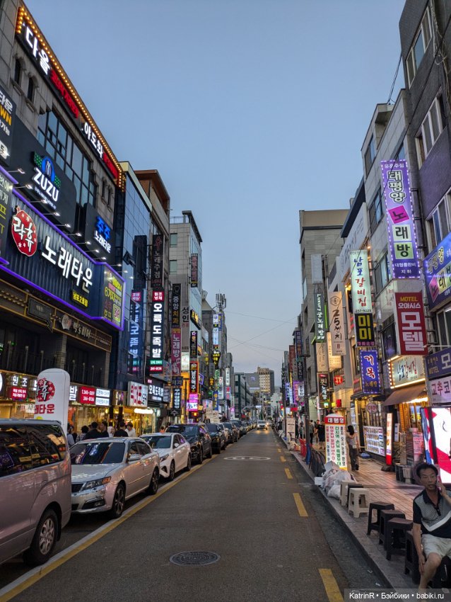 Бараш путешественник. Брошь (фото 7)