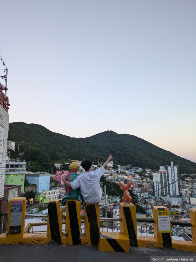 Бараш путешественник. Брошь (фото 6)