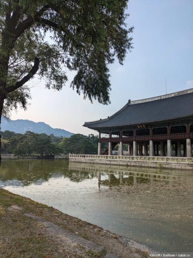 Бараш путешественник. Брошь