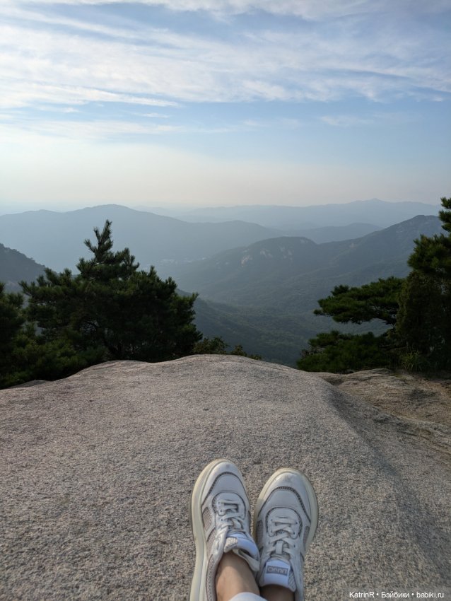 Бараш путешественник. Брошь
