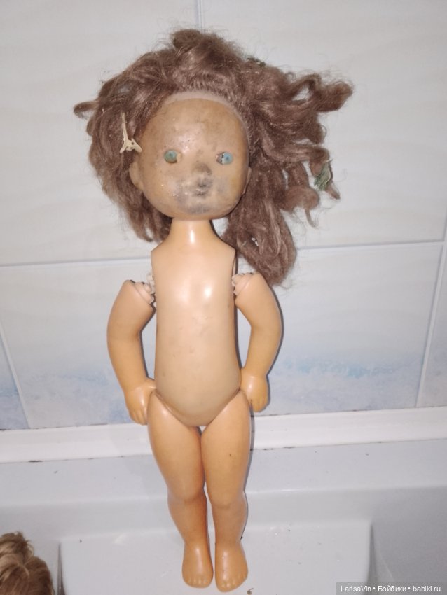 Преображение чердачной куколки