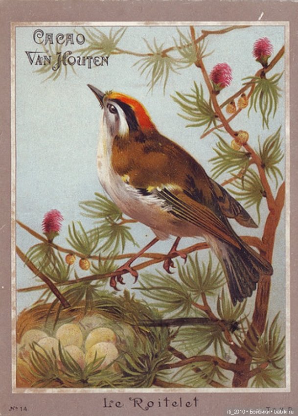 Какао, кофе, шоколад, чудесные детки и старинные наряды... Ч.2