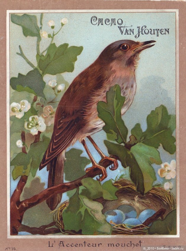 Какао, кофе, шоколад, чудесные детки и старинные наряды... Ч.2