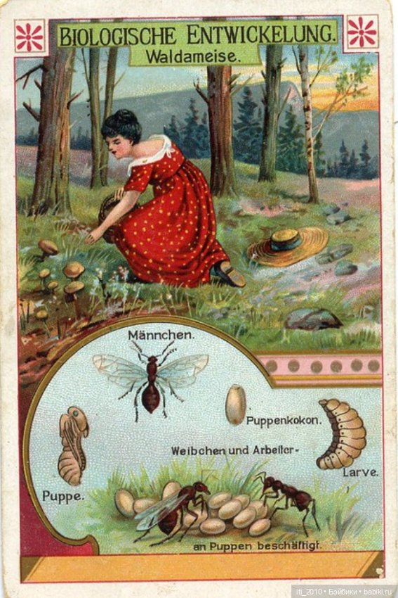Какао, кофе, шоколад, чудесные детки и старинные наряды... Ч.2