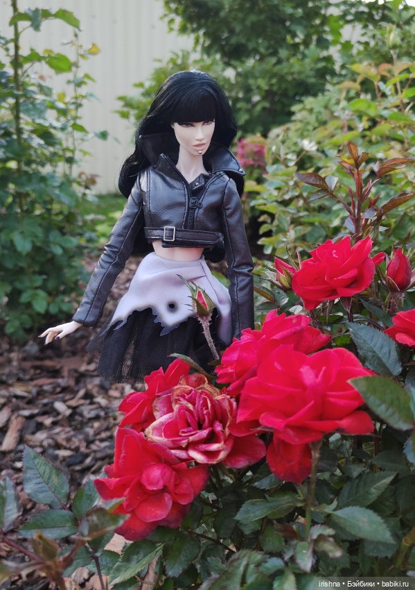 Ксюша — Фэшн (фото 4)