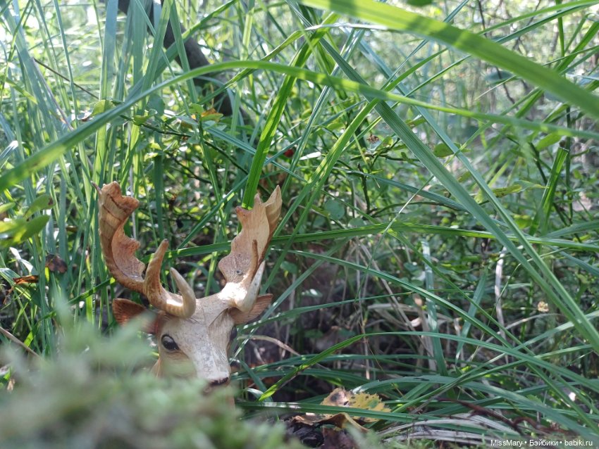 Робин Гуд. Охота на оленя (фото 5)