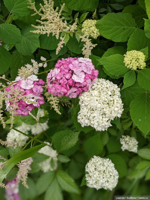 Вот оно какое наше лето — Куклы Paola Reina (Паола Рейна): новинки