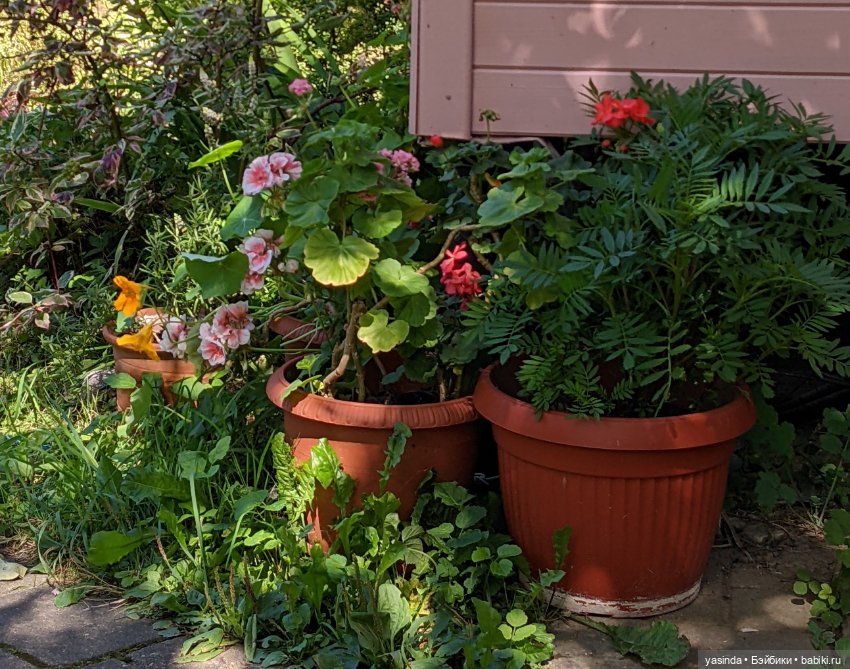 Вот оно какое наше лето — Куклы Paola Reina (Паола Рейна): новинки