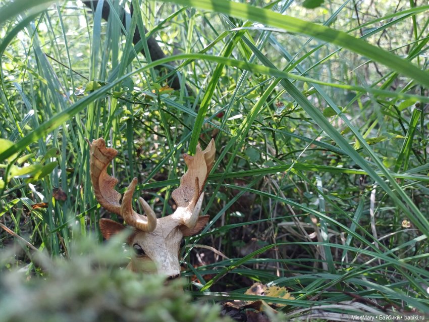 Робин Гуд. Охота на оленя (фото 3)