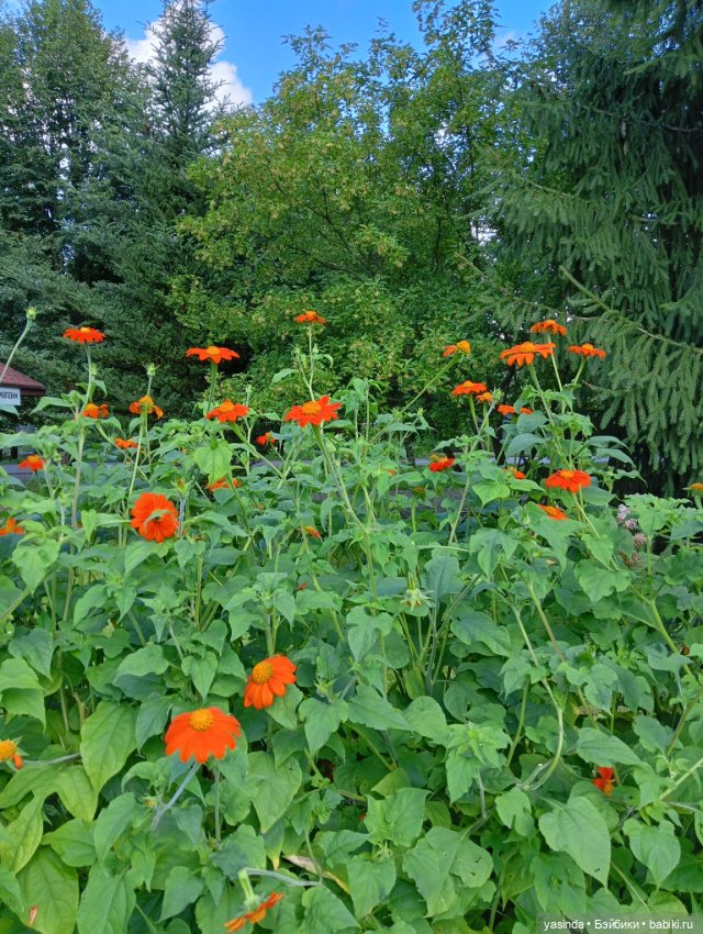 Вот оно какое наше лето — Куклы Paola Reina (Паола Рейна): новинки