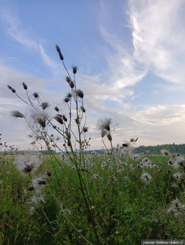 Вот оно какое наше лето — Куклы Paola Reina (Паола Рейна): новинки