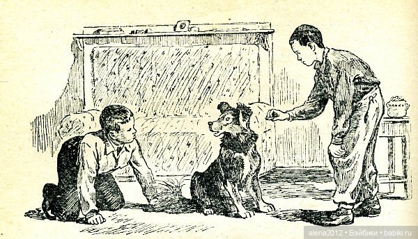 Николаю Носову 115 — Культура