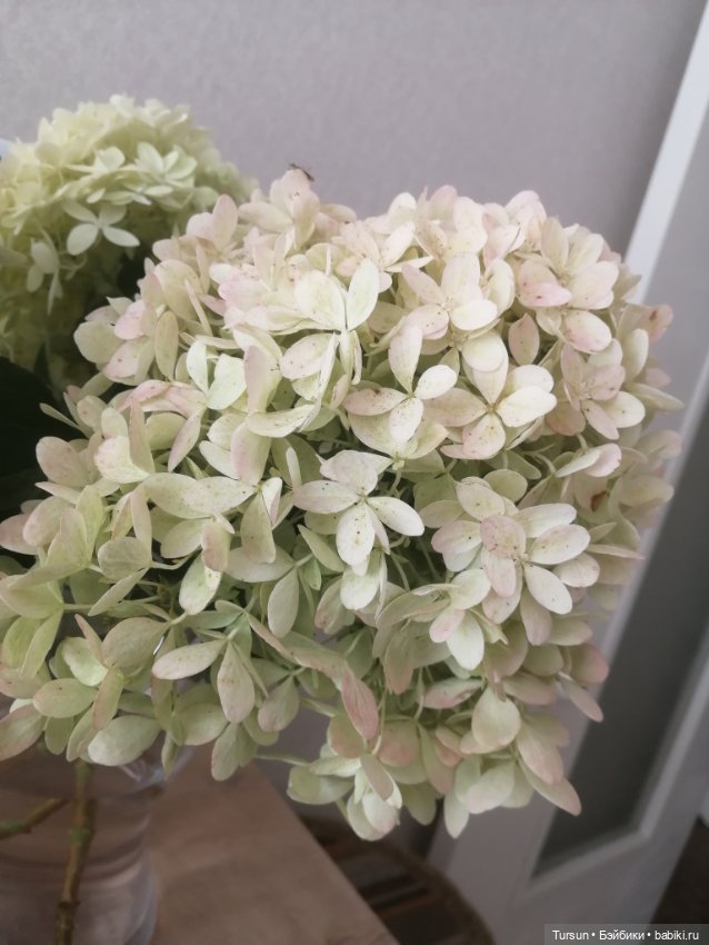 Лето продолжается — Одежда и обувь для кукол своими руками: фото (фото 5)