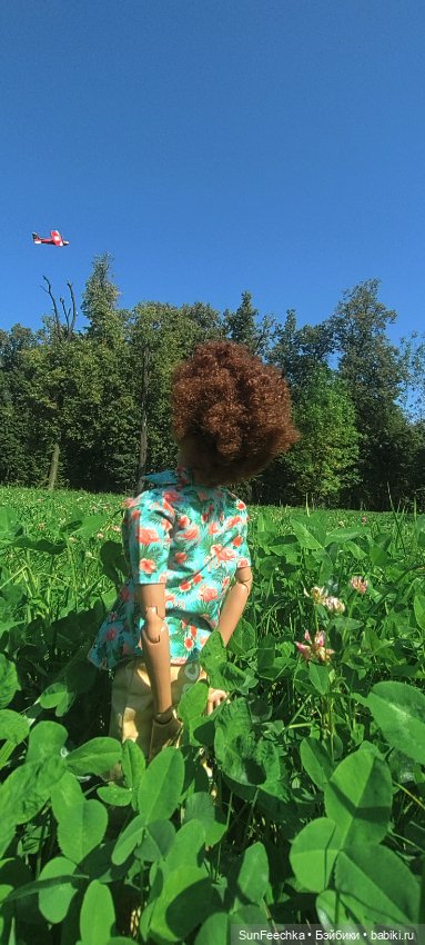 Камило и лето — Гибриды шарнирных кукол (не БЖД): подбор тела (фото 10)