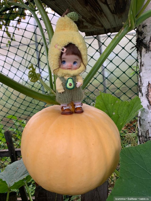 ... Тыковка моя 🤗 — Домашние фото авторских кукол: личные коллекции (фото 3)