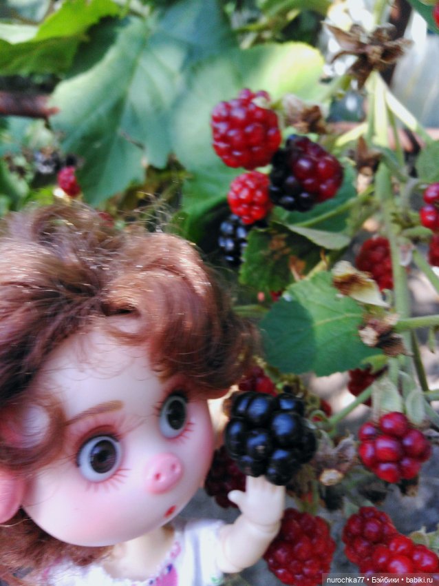 Про Нафочку. До свидания, Лето (фото 4)