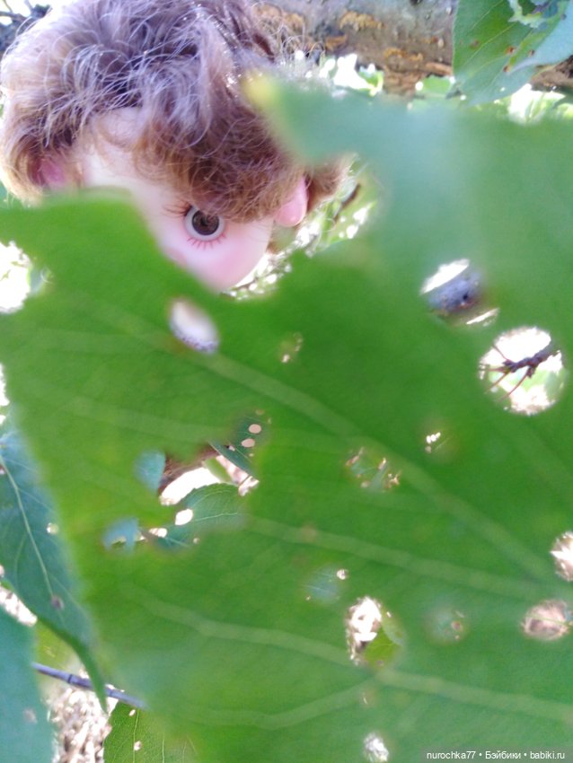 Про Нафочку. До свидания, Лето (фото 3)