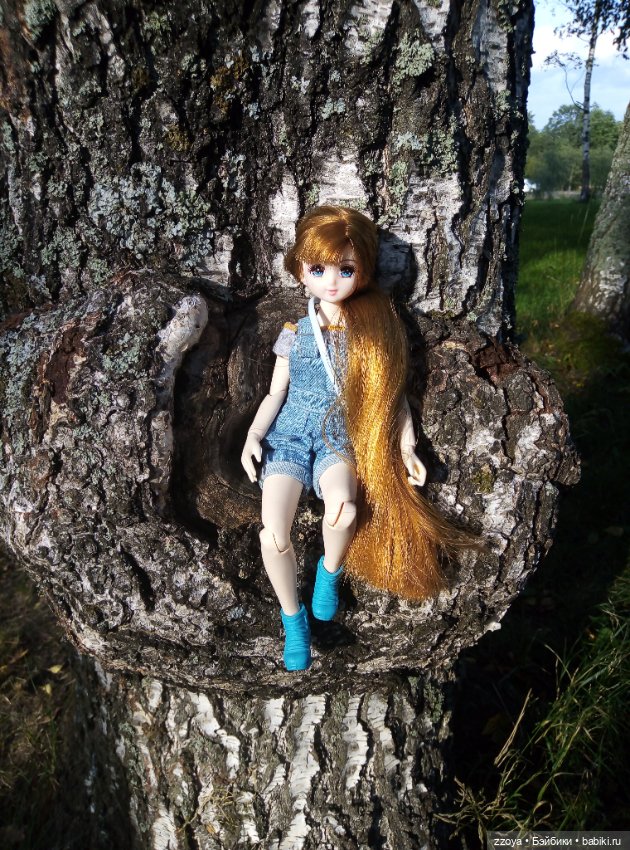 Не букетный август — Гибриды шарнирных кукол (не БЖД): подбор тела (фото 10)