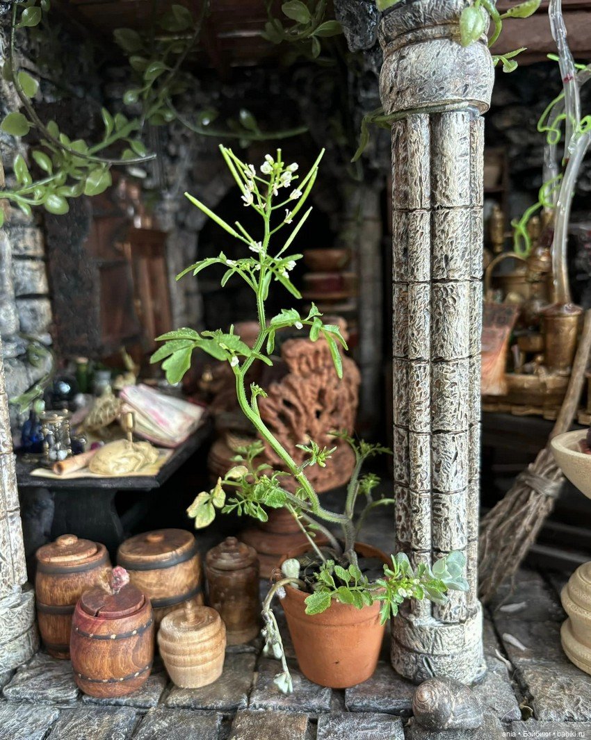 Дом алхимика от Лиззи Хаф