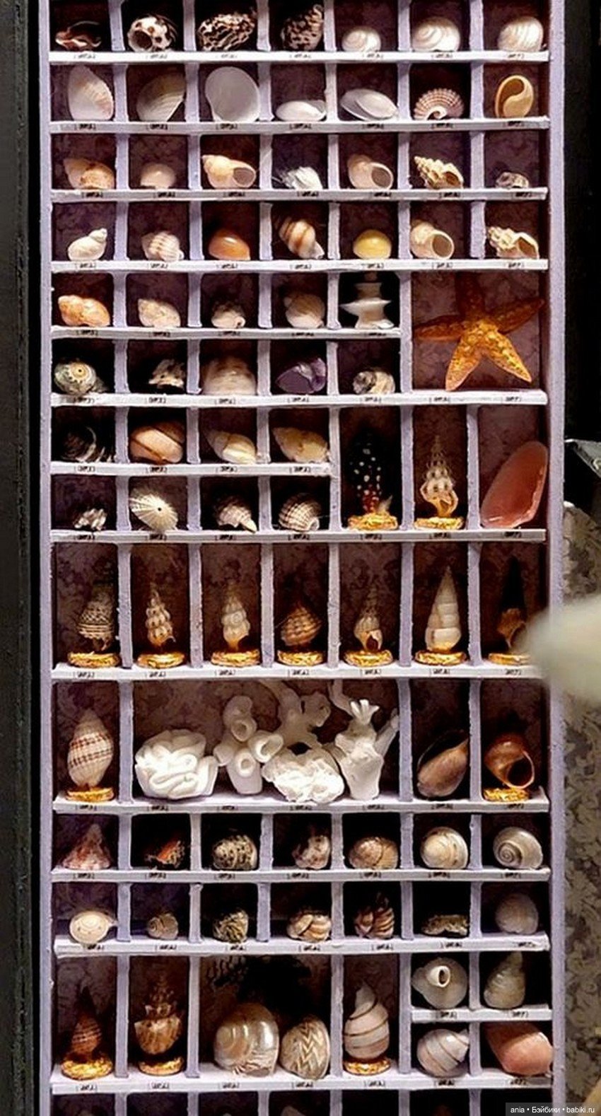 Уголок ученого от Мари-Мадлен Риверен (фото 10)