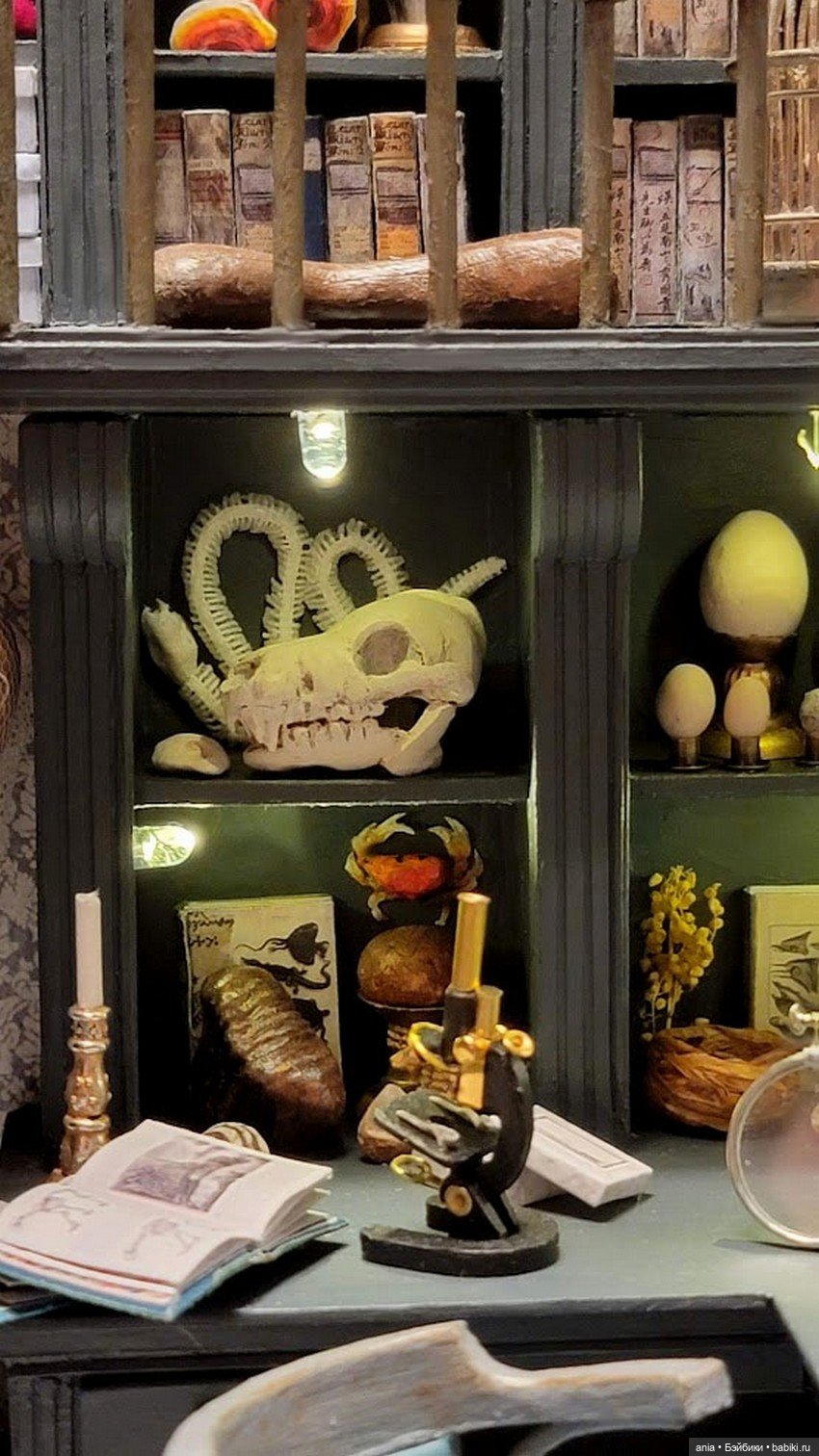 Уголок ученого от Мари-Мадлен Риверен (фото 7)